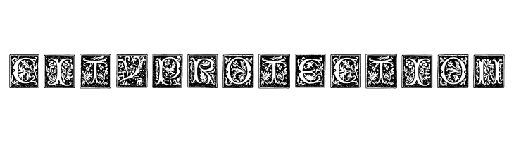 TypographerWoodcutInitialsOne  Free Fonts Download