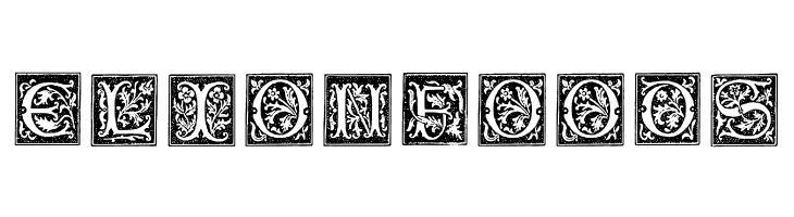 TypographerWoodcutInitialsOne  Free Fonts Download