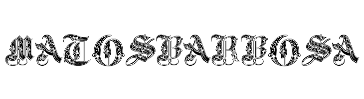 Royal Initialen  Free Fonts Download