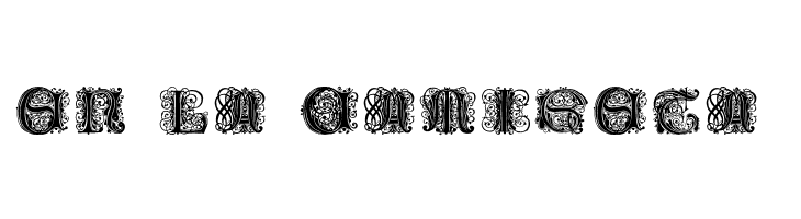 Paulus Franck Initialen  Free Fonts Download