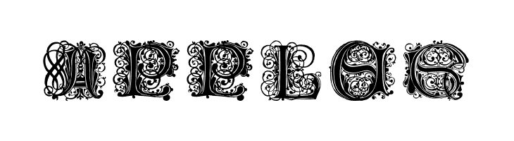 Paulus Franck Initialen  Free Fonts Download