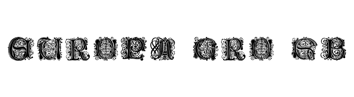 Paulus Franck Initialen  Free Fonts Download