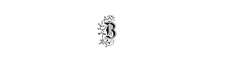 Foliar Initials  Free Fonts Download