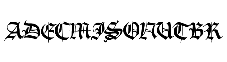 RememberReinerFS  Free Fonts Download