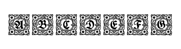 Schmuck-Initialen 1  Free Fonts Download