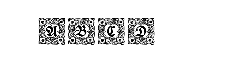 Schmuck-Initialen 1  Free Fonts Download