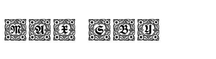 Schmuck-Initialen 1  Free Fonts Download