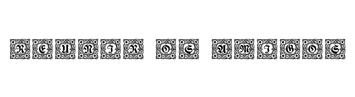 Schmuck-Initialen 1  Free Fonts Download