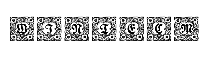 Schmuck-Initialen 1  Free Fonts Download