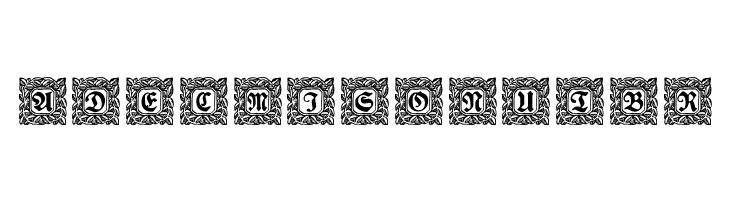 Schmuck-Initialen 2  Free Fonts Download