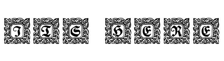 Schmuck-Initialen 2  Free Fonts Download