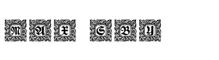 Schmuck-Initialen 2  Free Fonts Download