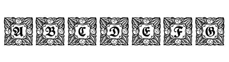 Schmuck-Initialen 3  Free Fonts Download