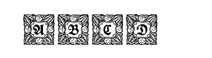 Schmuck-Initialen 3  Free Fonts Download