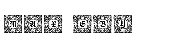 Schmuck-Initialen 3  Free Fonts Download