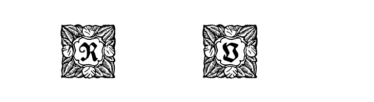 Schmuck-Initialen 3  Free Fonts Download