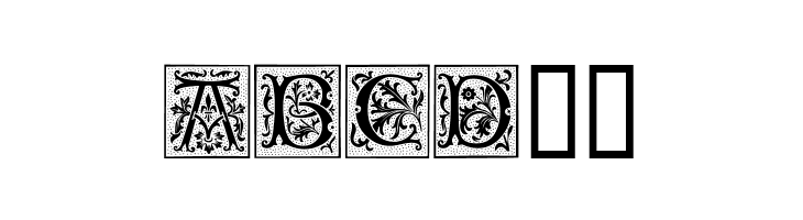 CamelotCaps  Free Fonts Download