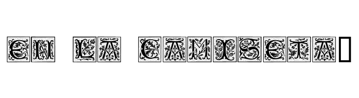 CamelotCaps  Free Fonts Download