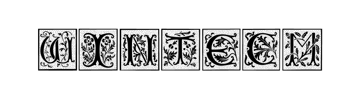 CamelotCaps  Free Fonts Download