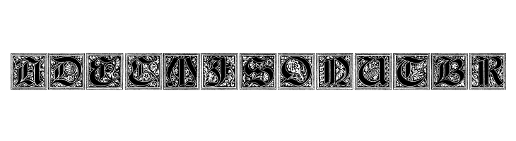 Camelot_Initials  Free Fonts Download