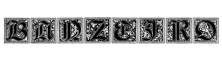 Camelot_Initials  Free Fonts Download