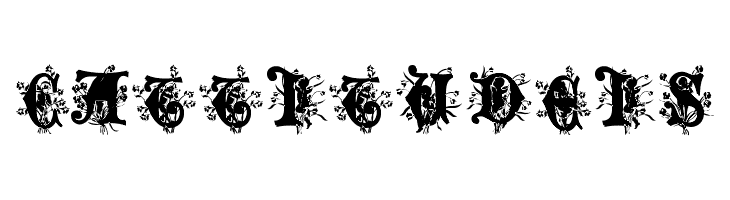 Angel Normal  Free Fonts Download