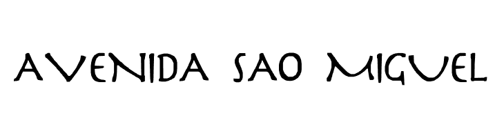 Slayer  Free Fonts Download