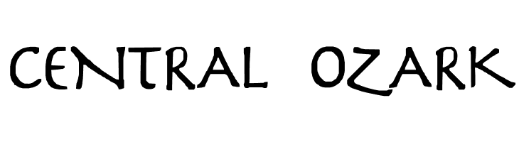 Slayer  Free Fonts Download