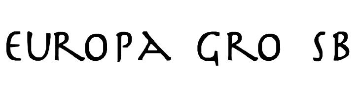 Slayer  Free Fonts Download