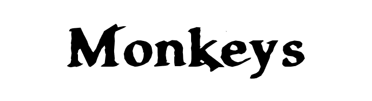 Clarisse~  Free Fonts Download