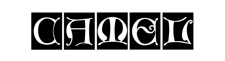 MissalUncialeBricks  Free Fonts Download