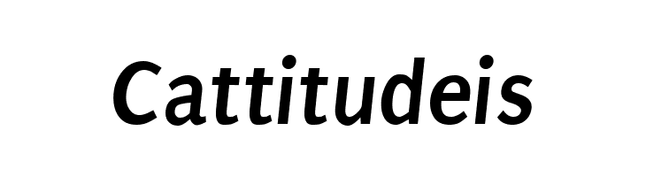 Puritan Bold Italic  Free Fonts Download