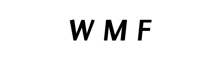 Puritan Bold Italic  Free Fonts Download