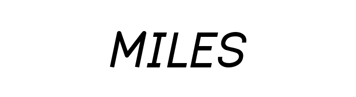 Dustismo  Bold Italic  Free Fonts Download