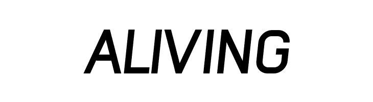 NewMedia Bold Italic  Free Fonts Download