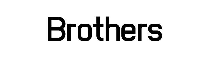 NewMedia Bold  Free Fonts Download