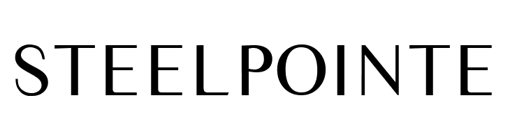 STEELPOINTE Times Sans Serif Font