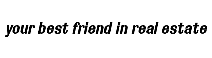 Rollout Bold Oblique  Free Fonts Download