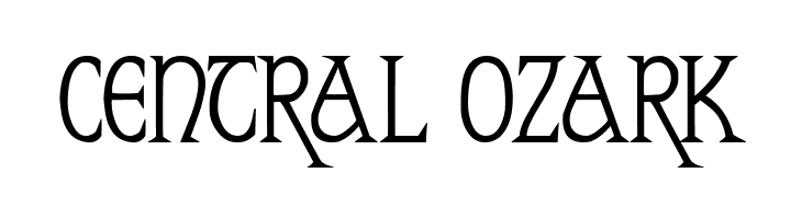 Reynard Demo  Free Fonts Download