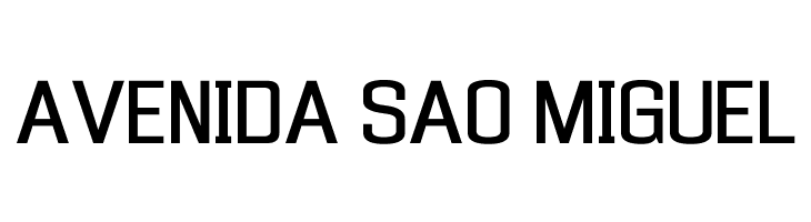 Enigmatic Unicode Regular  Free Fonts Download