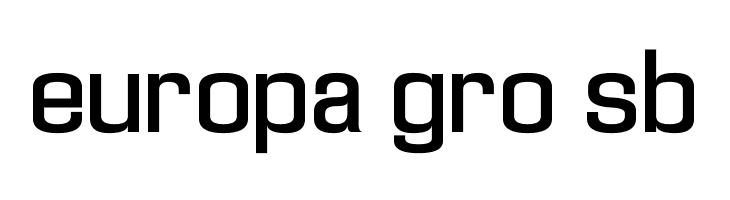 Enigmatic Unicode Regular  Free Fonts Download