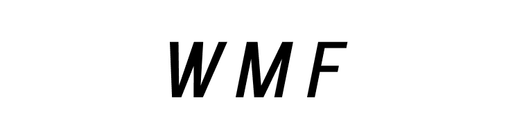 Enigmatic Italic  Free Fonts Download