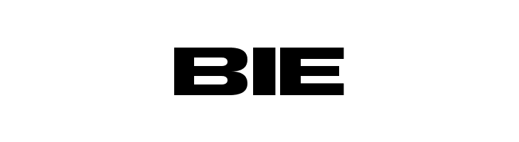 TS Block Bold  Free Fonts Download
