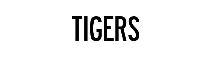 Roadway  Free Fonts Download