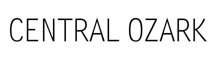 Zomnk  Free Fonts Download