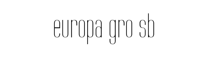 Labtop Thin  Free Fonts Download