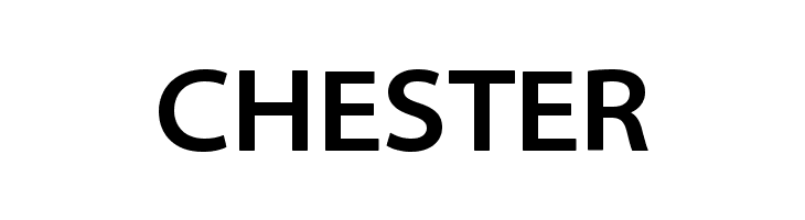 CHESTER Santana-Bold Font