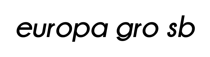 Champagne & Limousines Bold Italic  Free Fonts Download