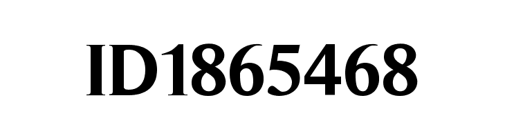 Timeless-Bold  Free Fonts Download