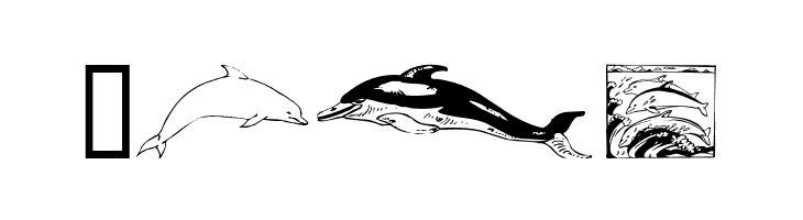Dolphins  Free Fonts Download